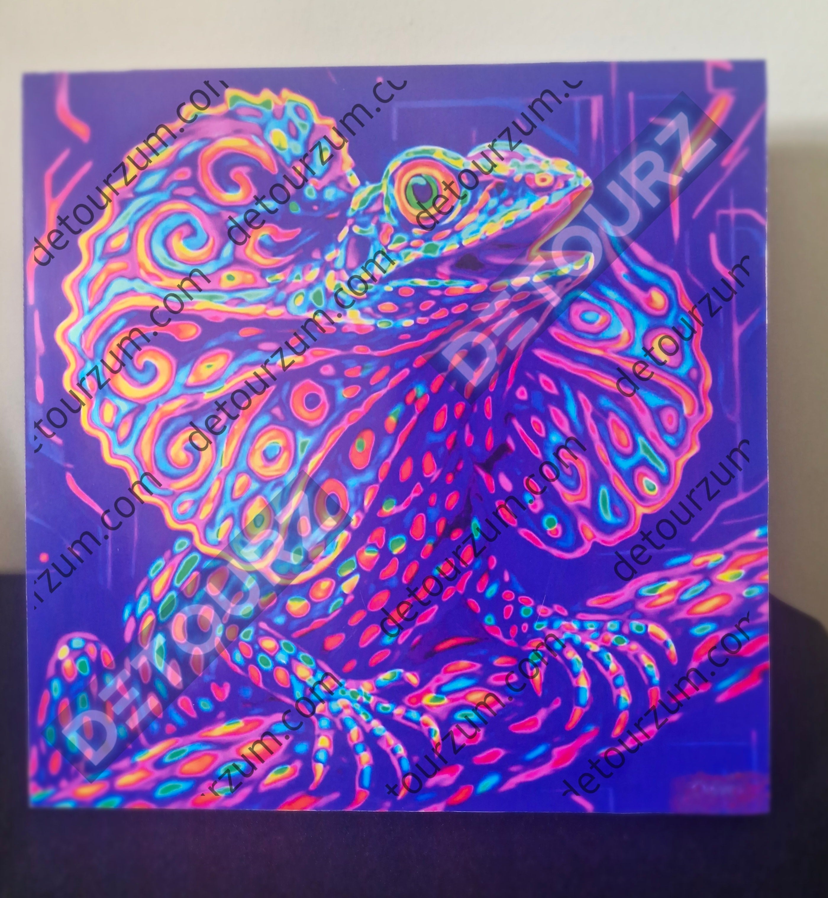 Wall art, Night club, living area